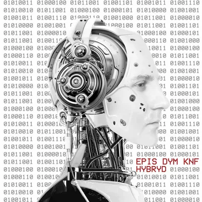 Queshop - Epis Dym Knf - Hybryd