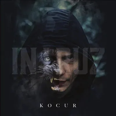 Intruz - Kocur
